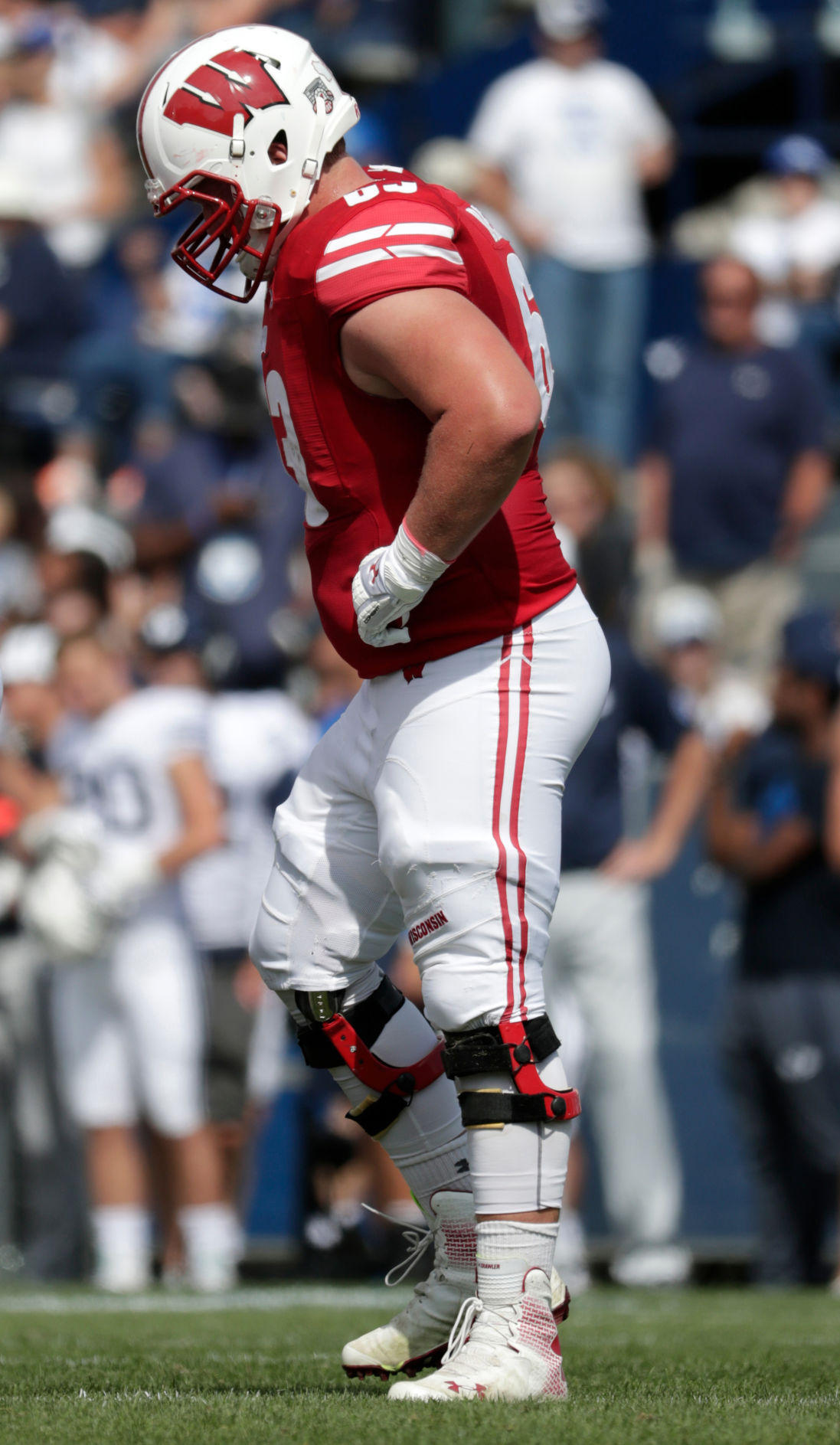 Badgers vs. Cougars
